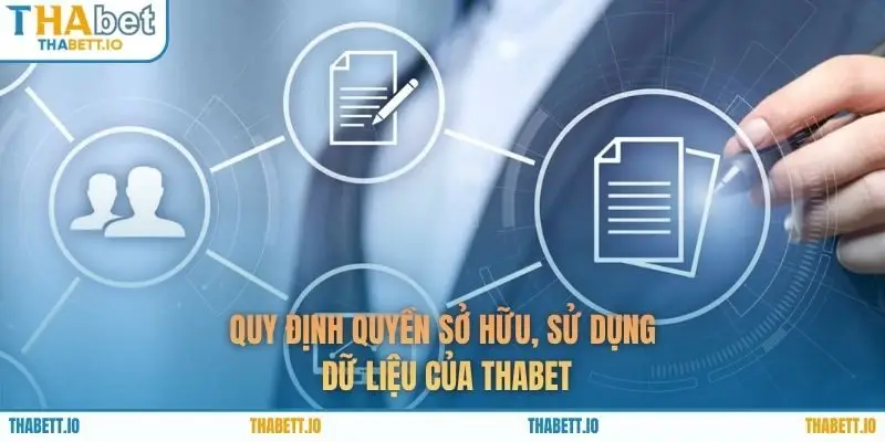 Quy định quyền sở hữu, sử dụng dữ liệu của THABET